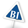 Business Intelligence Professional (BIP)